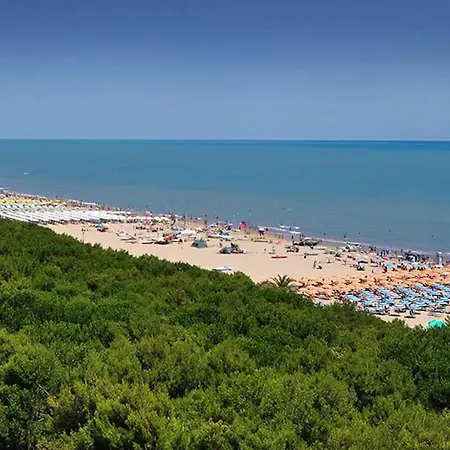 Il Viale Bed & Breakfast